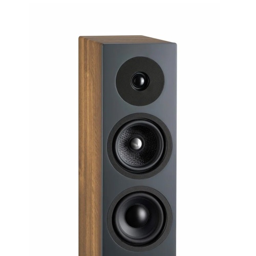 Davis Acoustics Krypton 6 Classik Walnut фото 7